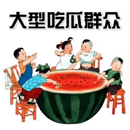 娱乐吃瓜教授打油诗